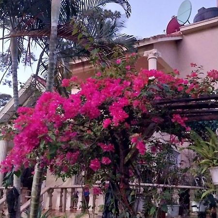 La famosa costillas a la leña Jarabacoa Exterior foto