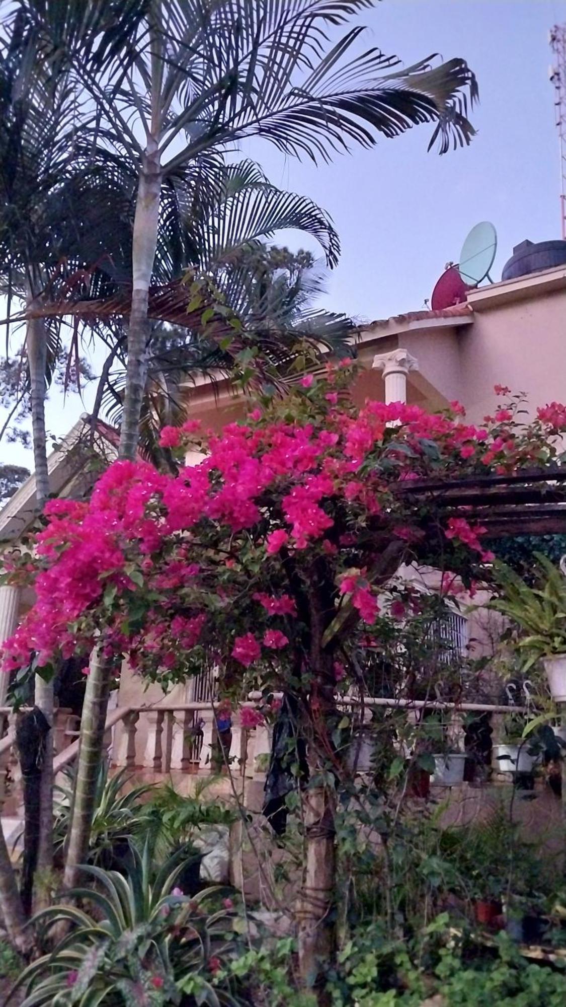 La famosa costillas a la leña Jarabacoa Exterior foto